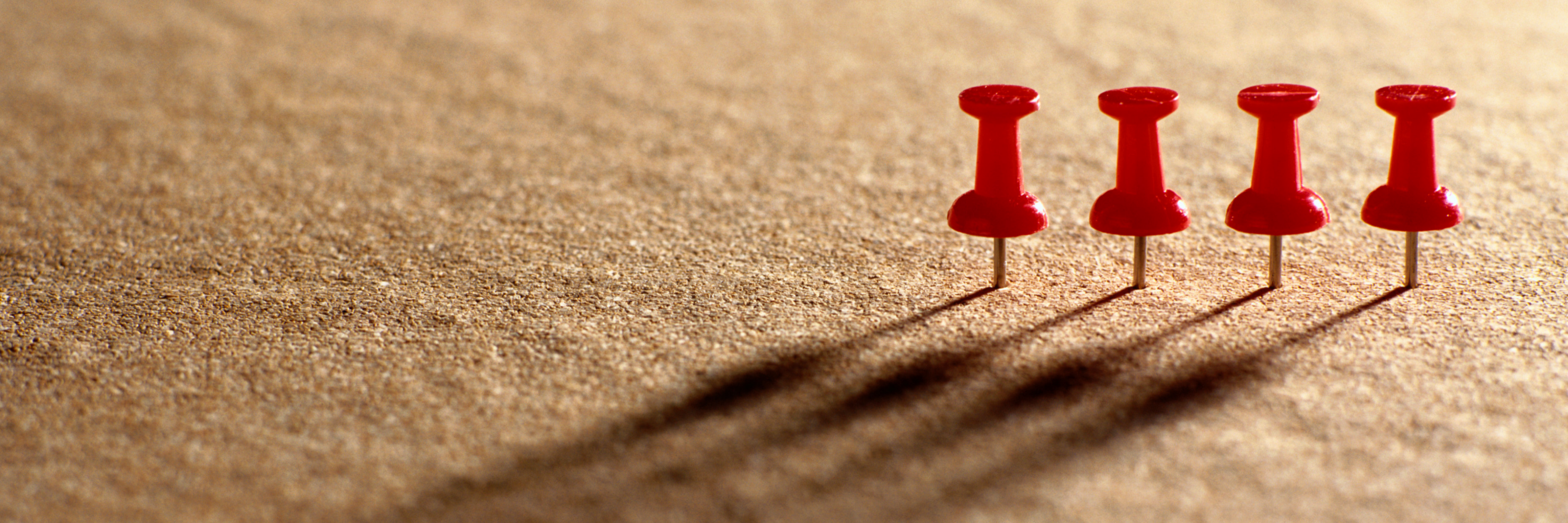Push Pins